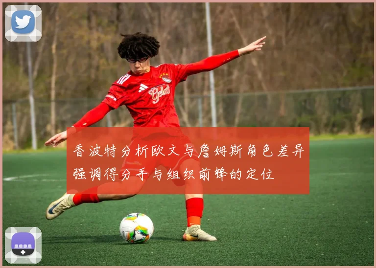 香波特分析欧文与詹姆斯角色差异强调得分手与组织前锋的定位